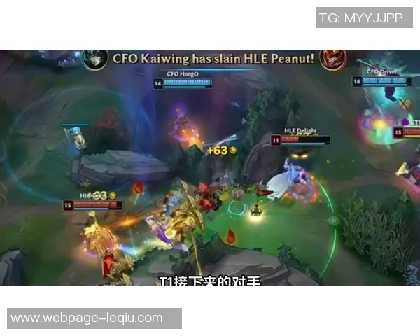 TES与FLY对决全场精彩回顾及赛后分析